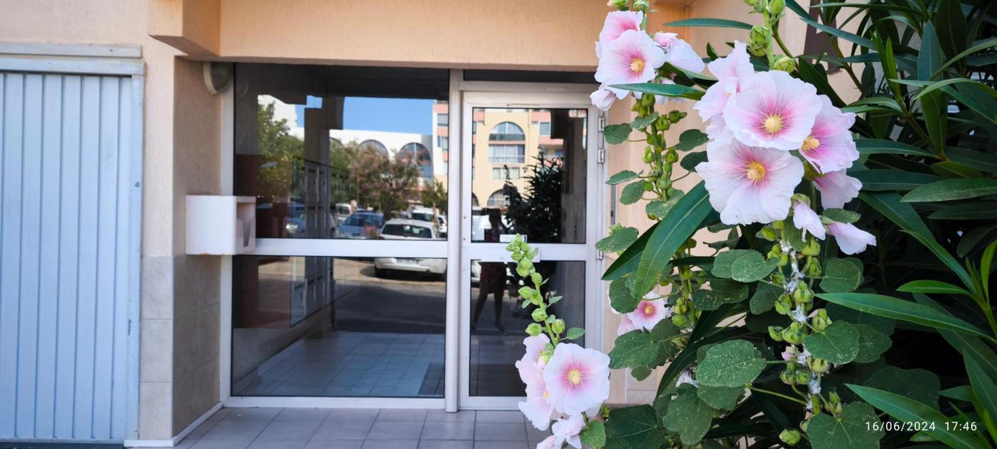 La Perle Marine, Cosy Et Renove, 200 M De La Plage, 1 Chambre, Parking Et Wifi Sete Exterior photo